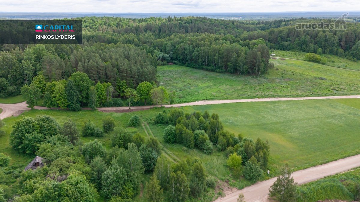 Parduodamas išskirtinis 14,3 arų namų valdos - nuotraukos Nr. 9