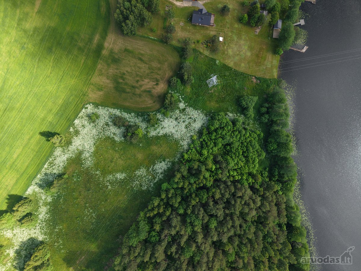Parduodame Sklypą Prie Varniškių Ežero - nuotraukos Nr. 5