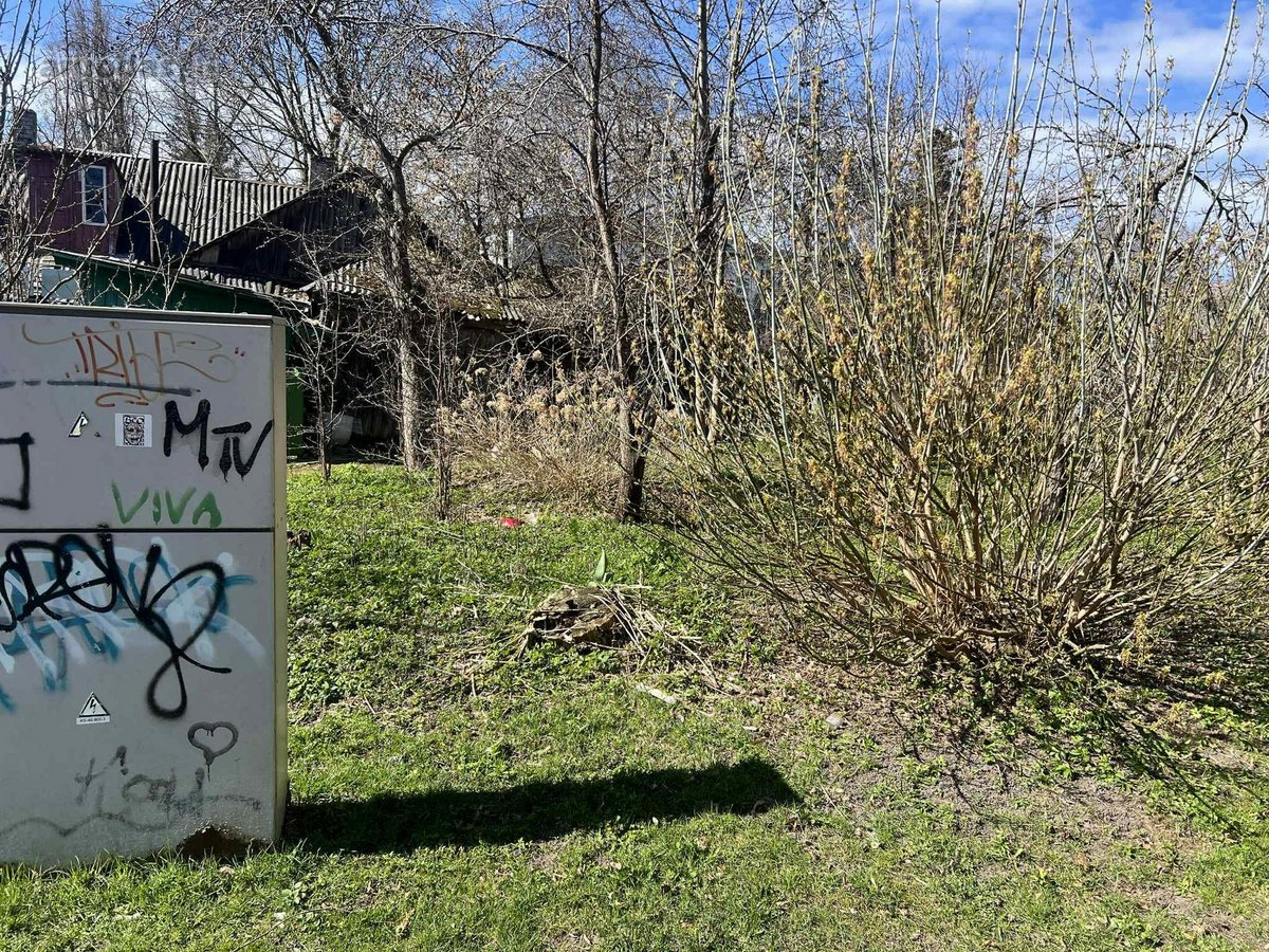 Parduodamas 2.49a namu valdos sklypas, - nuotraukos Nr. 2