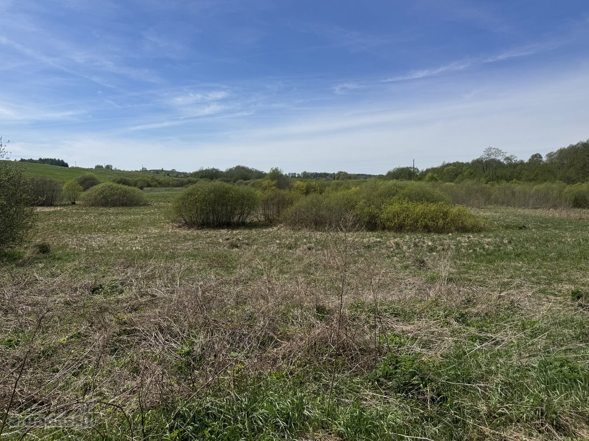 Parduodamas 1,37 ha ploto puikus įvairioms