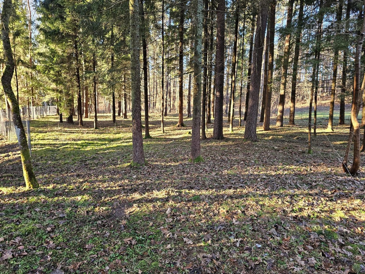 Parduodamas A-formos poilsio namas (60.96 m2) - nuotraukos Nr. 10