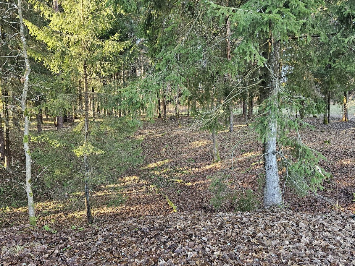 Parduodamas A-formos poilsio namas (60.96 m2) - nuotraukos Nr. 11
