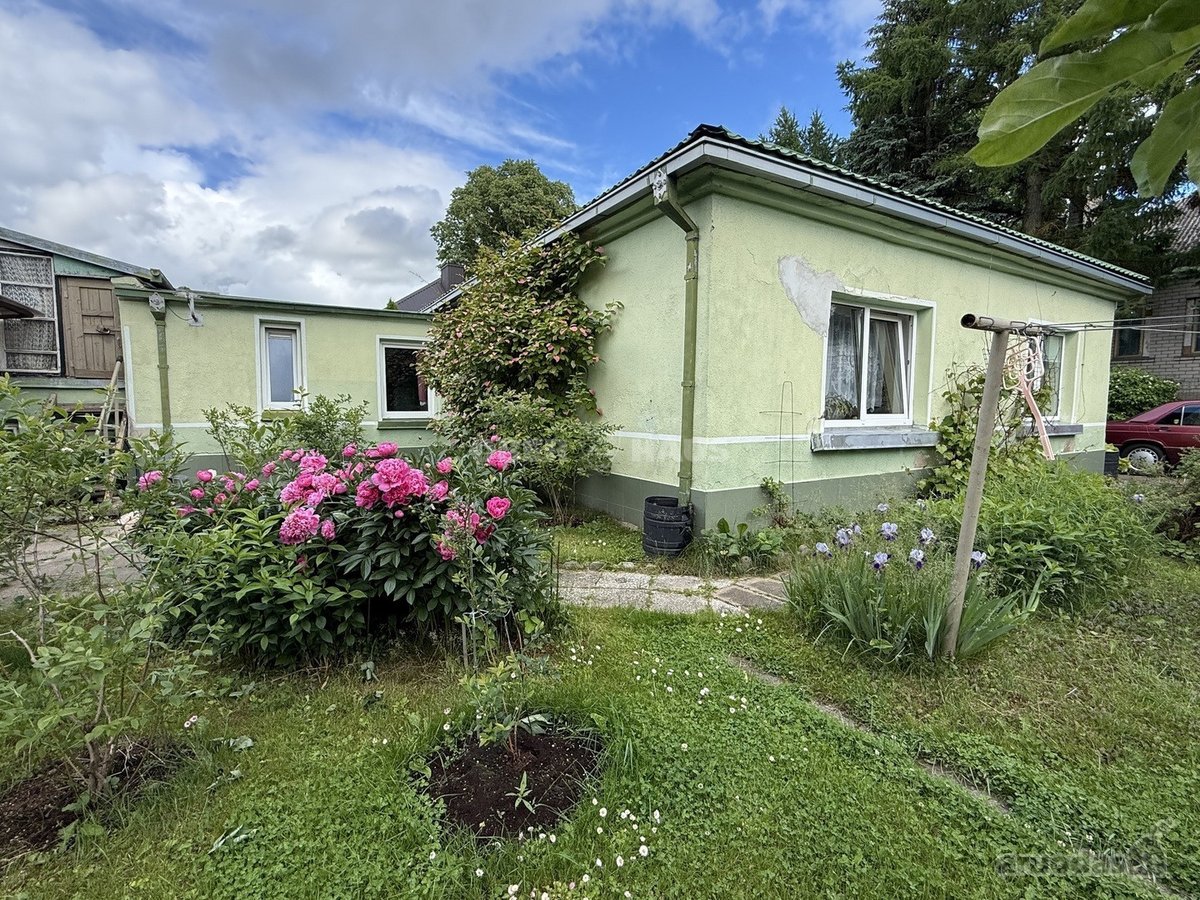 Puikioje Vietoje, Akligatvyje, P. Bugailiškio - nuotraukos Nr. 7