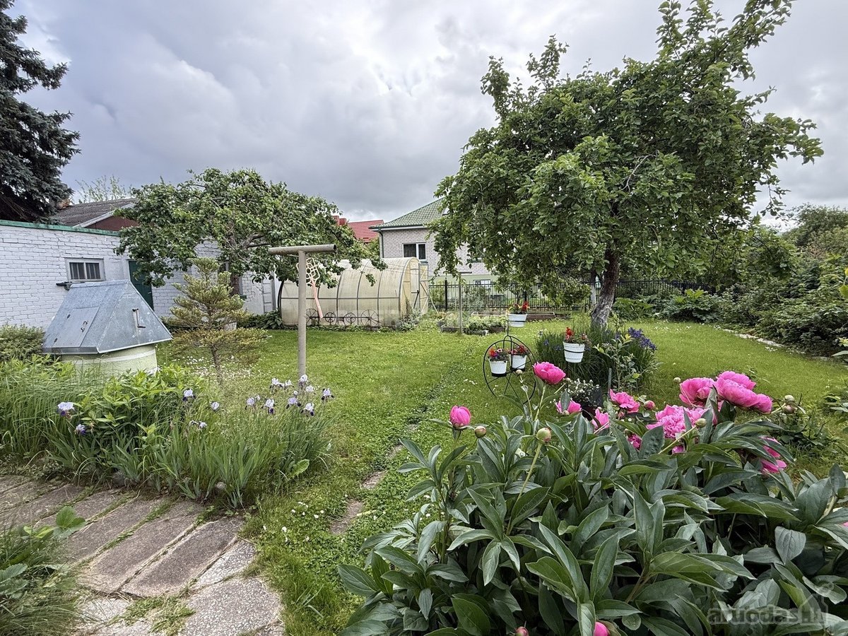 Puikioje Vietoje, Akligatvyje, P. Bugailiškio - nuotraukos Nr. 8