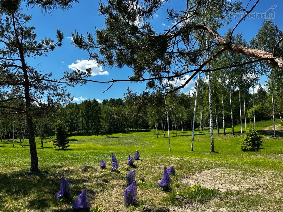 Parduodami 6 išskirtiniai namų valdos sklypai - nuotraukos Nr. 22