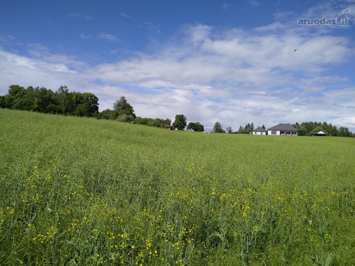15852m² - nuotraukos Nr. 7
