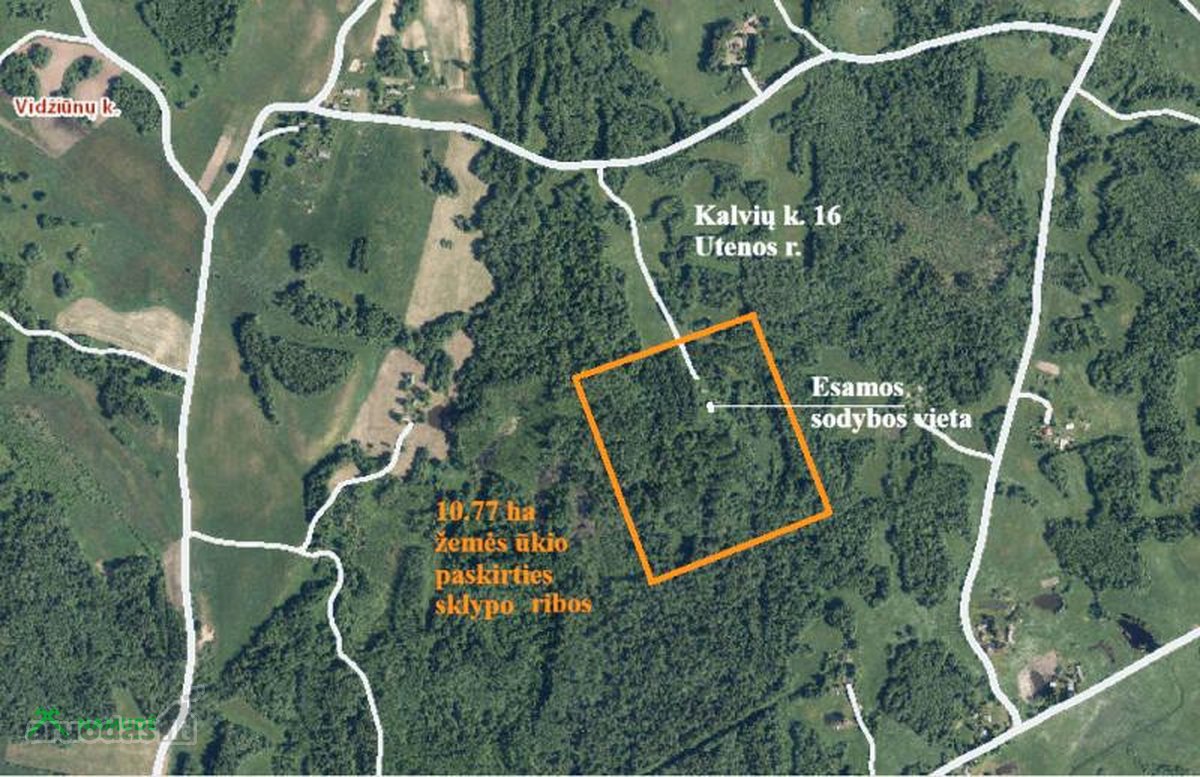 Parduodamas 10,77 ha žemės ūkio paskirties