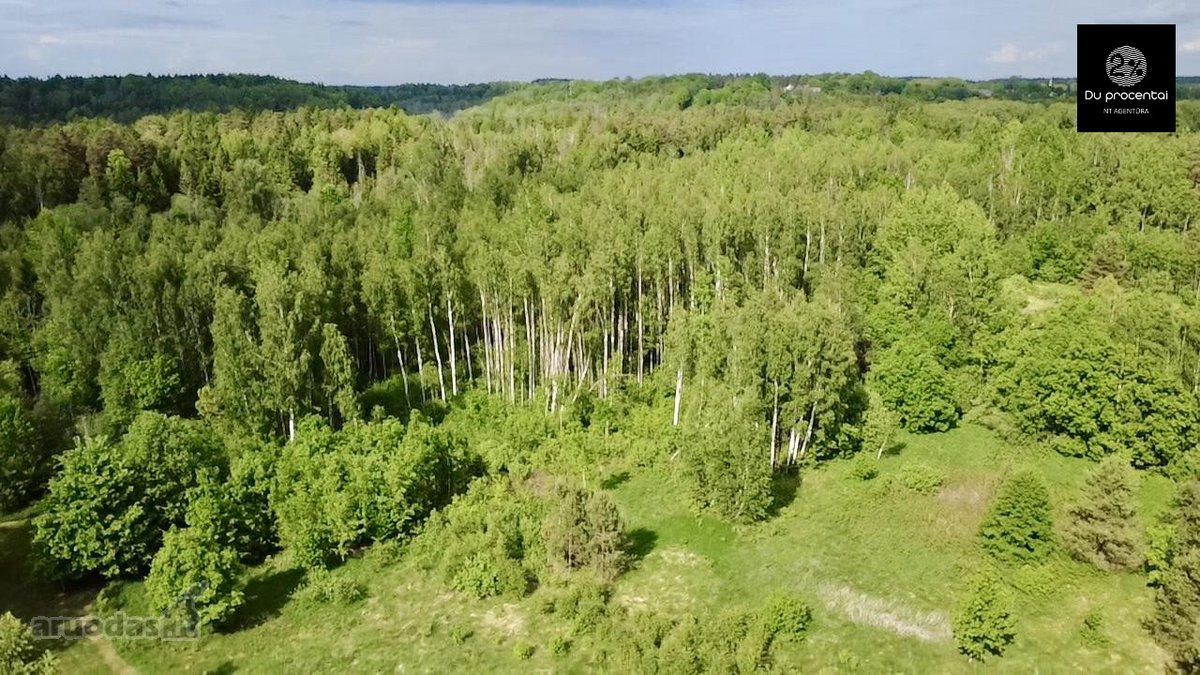 Parduodamas atidalintas ir suformuotas 0,50 - nuotraukos Nr. 9