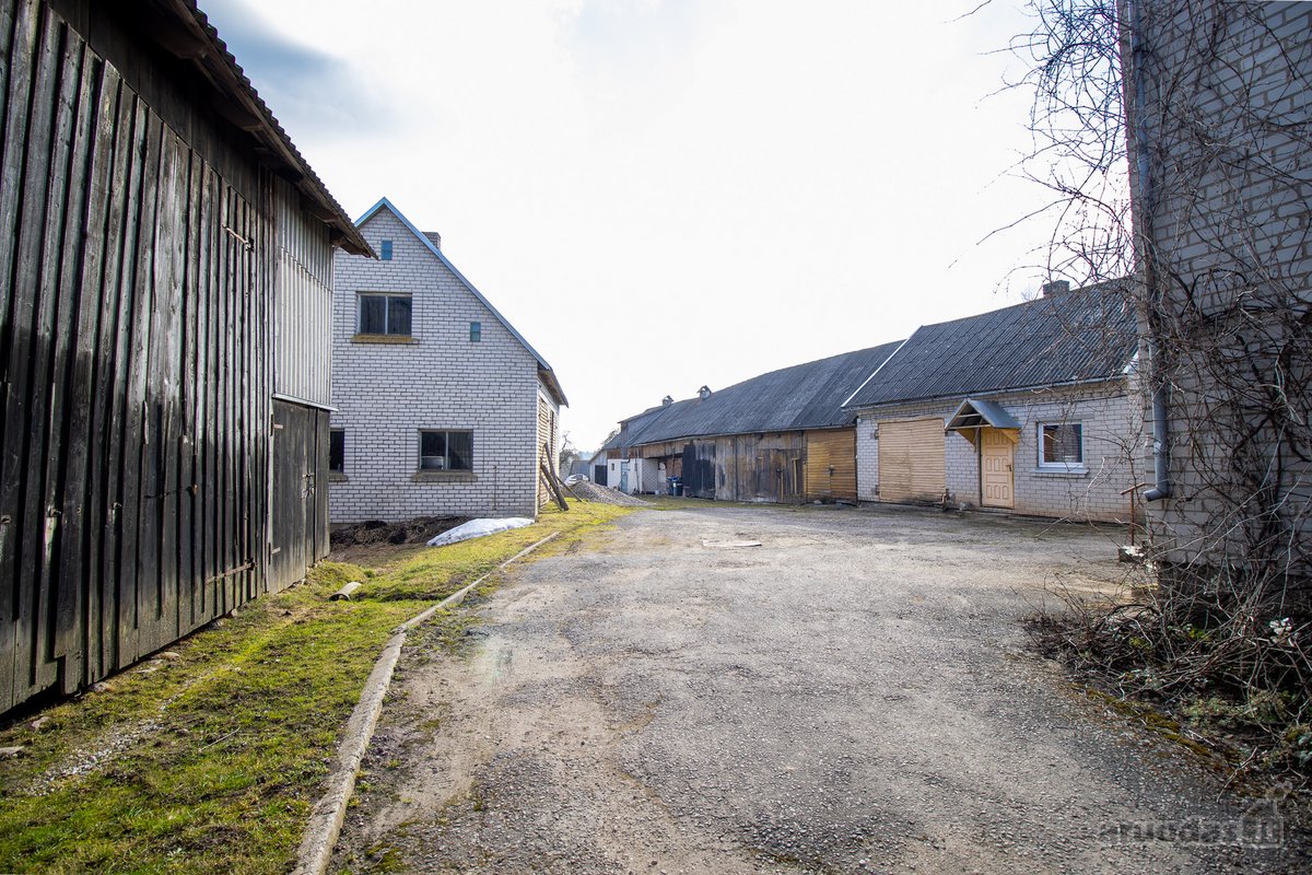 Veliuonoje, vienoje seniausių Lietuvos - nuotraukos Nr. 4