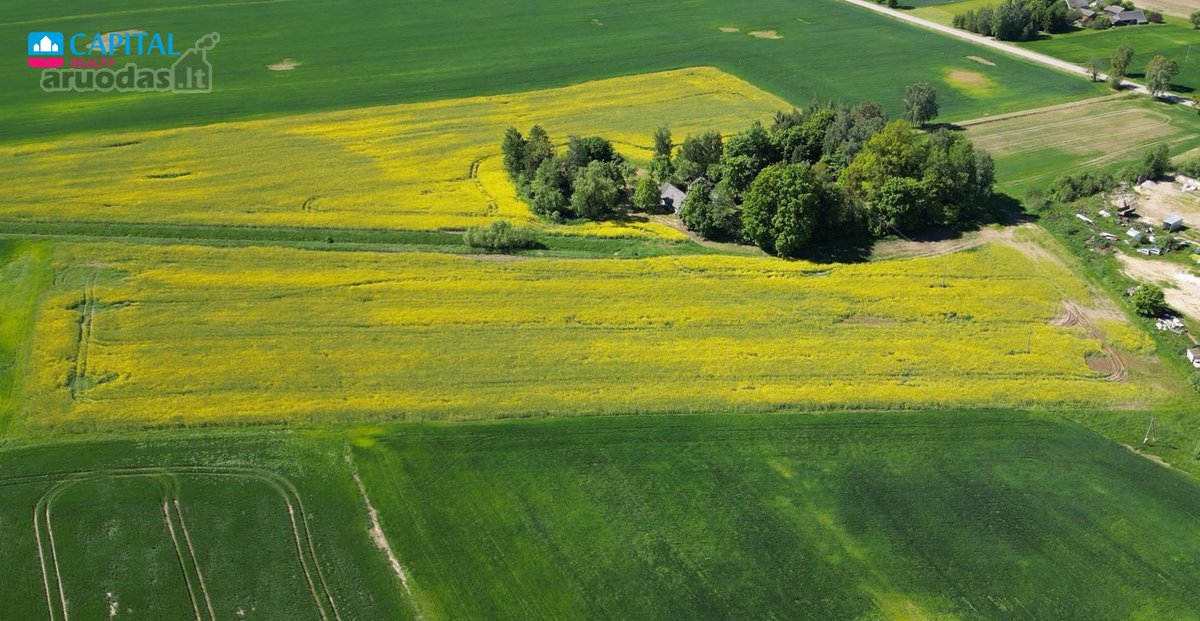 Parduodamas 7,83 ha Sklypas Su Autentiška - nuotraukos Nr. 3