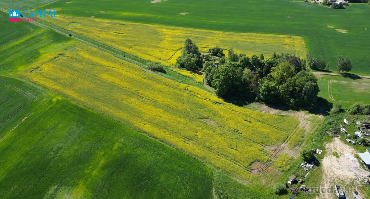 Parduodamas 7,83 ha Sklypas Su Autentiška - nuotraukos Nr. 4