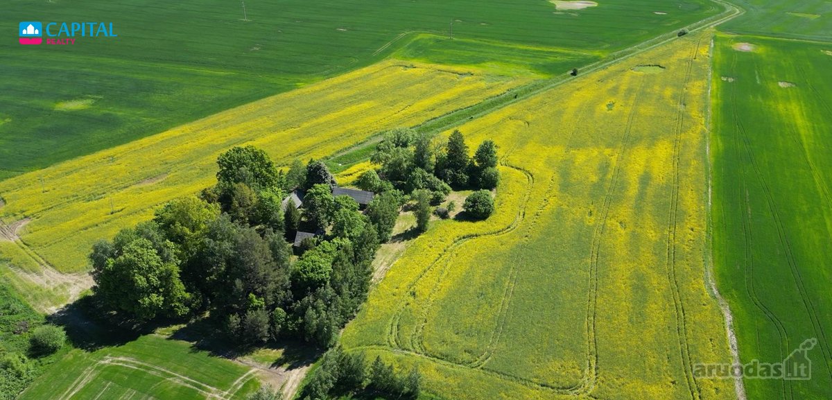 Parduodamas 7,83 ha Sklypas Su Autentiška - nuotraukos Nr. 6