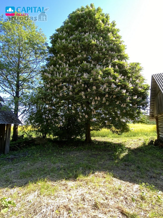Parduodamas 7,83 ha Sklypas Su Autentiška - nuotraukos Nr. 14