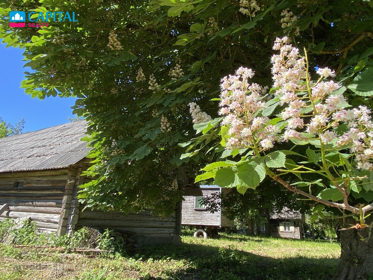 Parduodamas 7,83 ha Sklypas Su Autentiška - nuotraukos Nr. 27