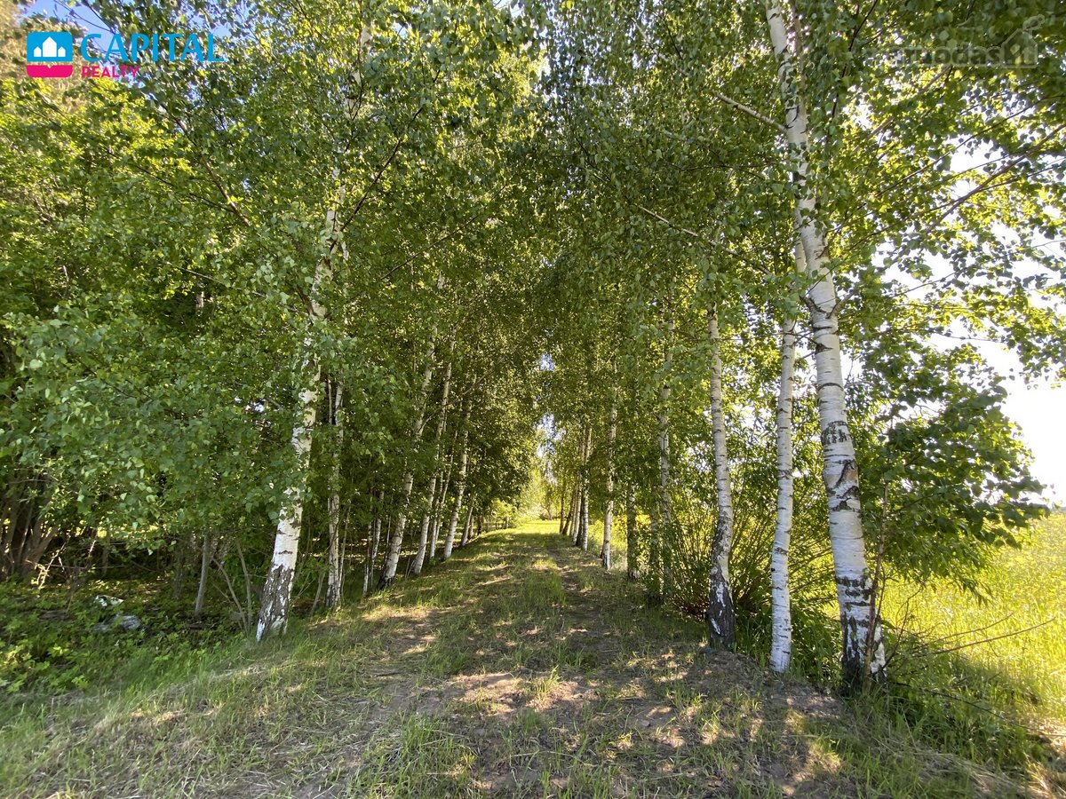 Parduodamas 7,83 ha Sklypas Su Autentiška - nuotraukos Nr. 7