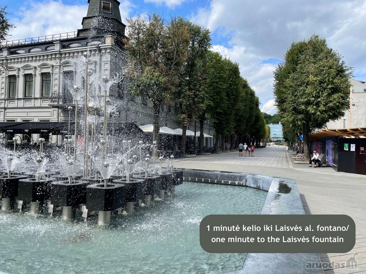 Modernus 2 K. Loftas Kauno Centre, Laisvės AL. - nuotraukos Nr. 20