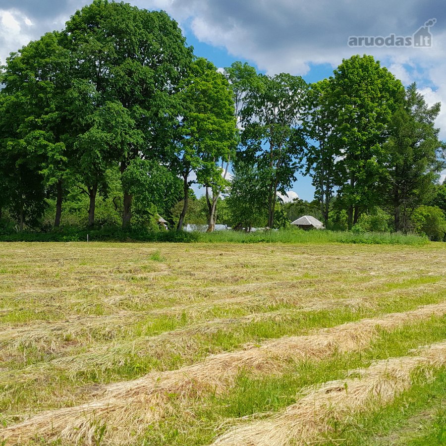 Parduodamas 1,16 ha sklypas prie Pravalo - nuotraukos Nr. 8