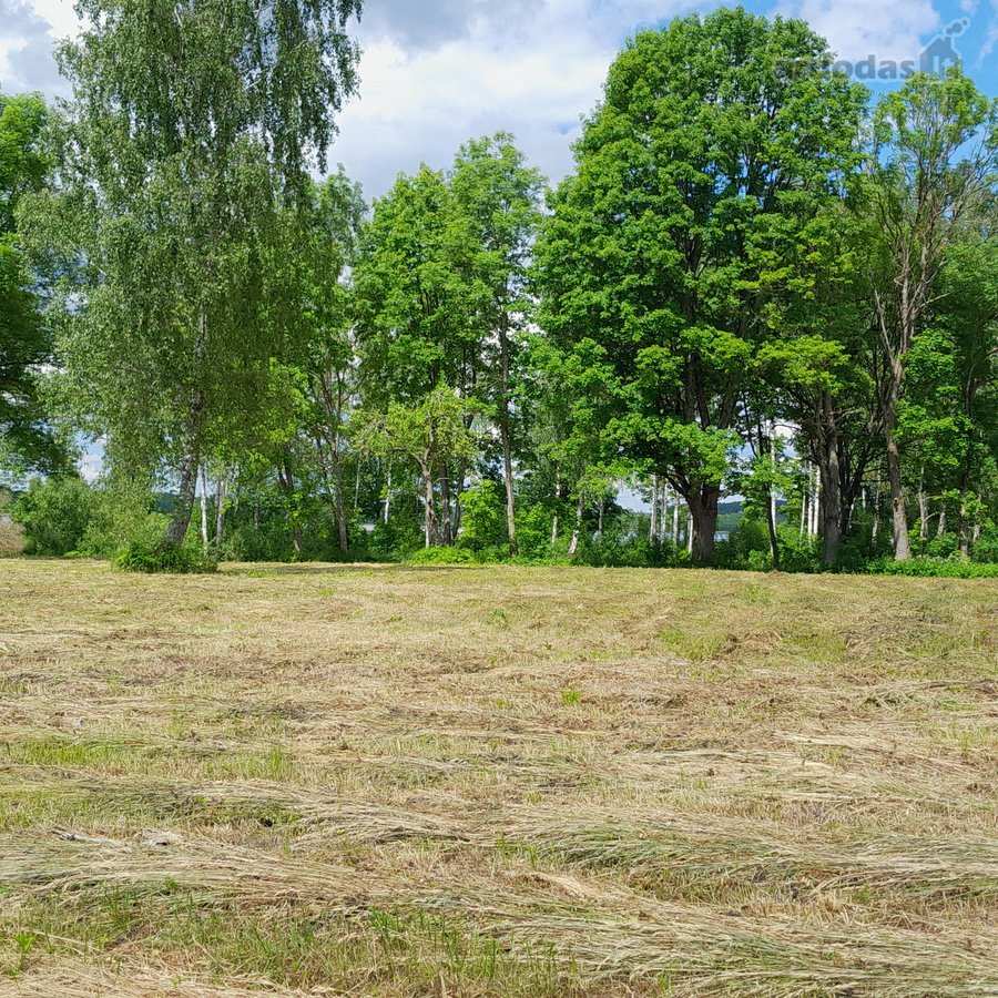 Parduodamas 1,16 ha sklypas prie Pravalo - nuotraukos Nr. 9