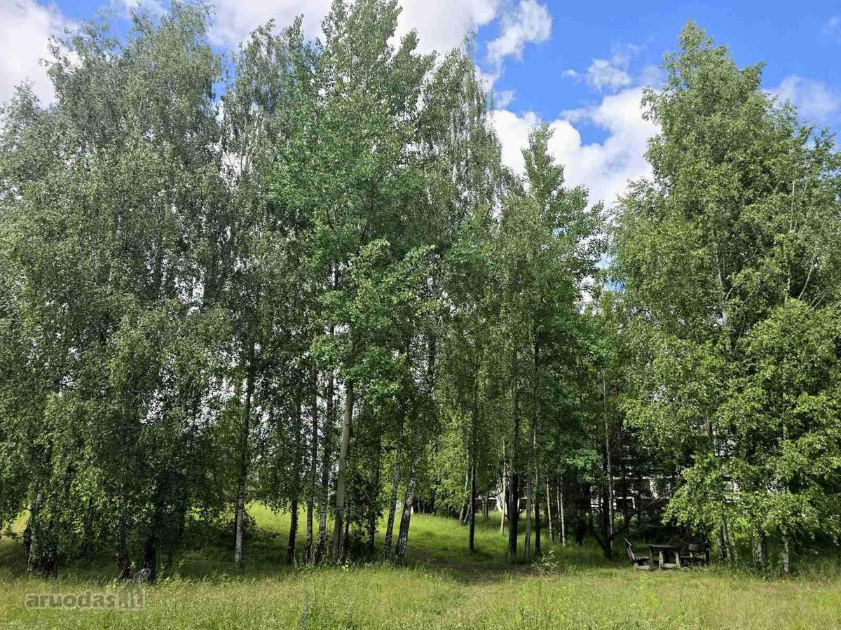 2 kambarių butas su terasa ir balkonu (Be - nuotraukos Nr. 32