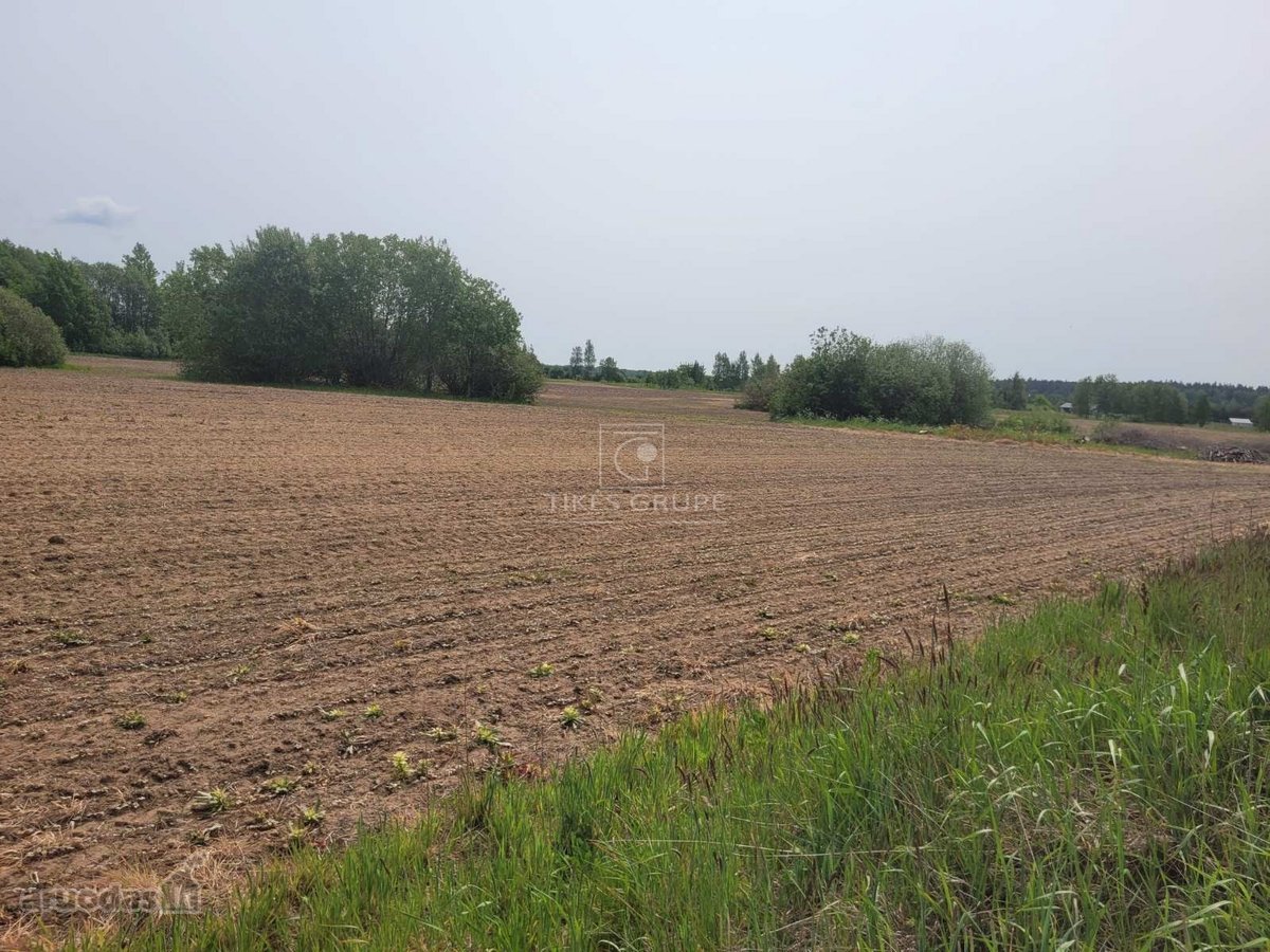 Kurk savo namus gamtos ir miesto balanse – - nuotraukos Nr. 11