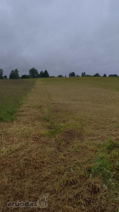 Parduodama sodyba Naudvario km. 2km nuo - nuotraukos Nr. 3