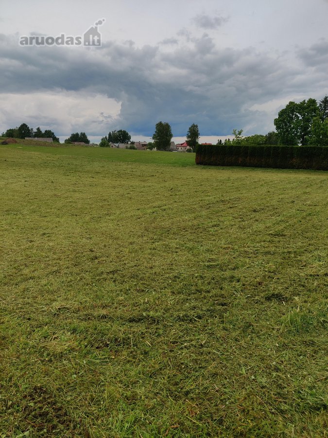 Parduodama sodyba Naudvario km. 2km nuo - nuotraukos Nr. 6