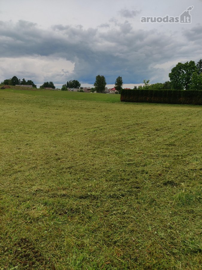 Parduodama sodyba Naudvario km. 2km nuo - nuotraukos Nr. 7