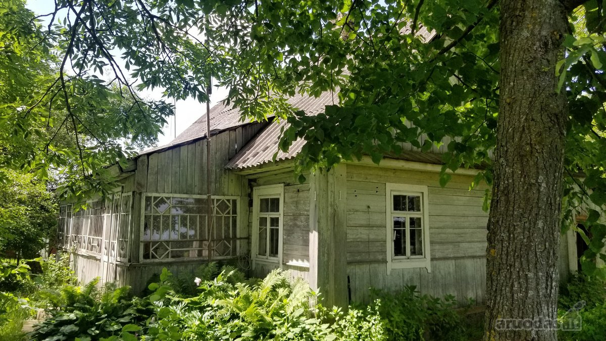 Parduodama kraštinė sodyba kaime - aplink