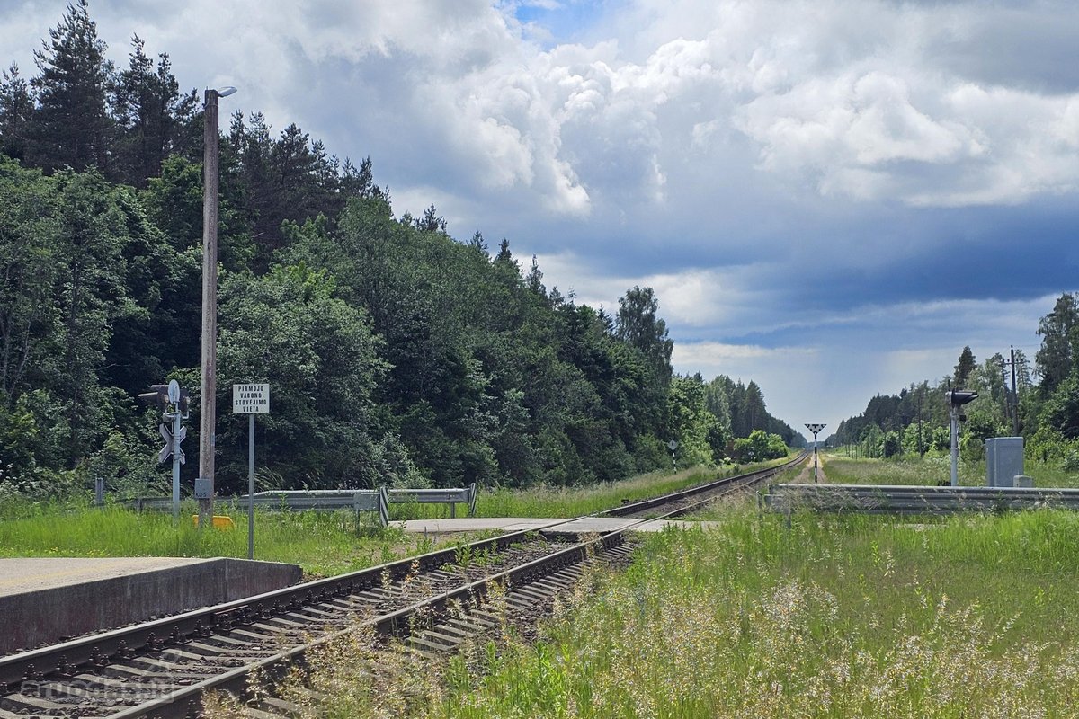 Parduodamas 22,4a namų valdos žemės sklypas - nuotraukos Nr. 8