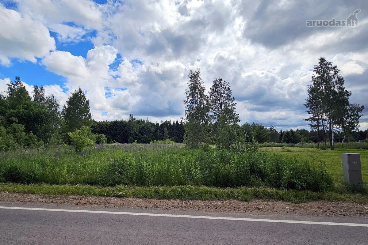 Parduodamas 22,4a namų valdos žemės sklypas - nuotraukos Nr. 4
