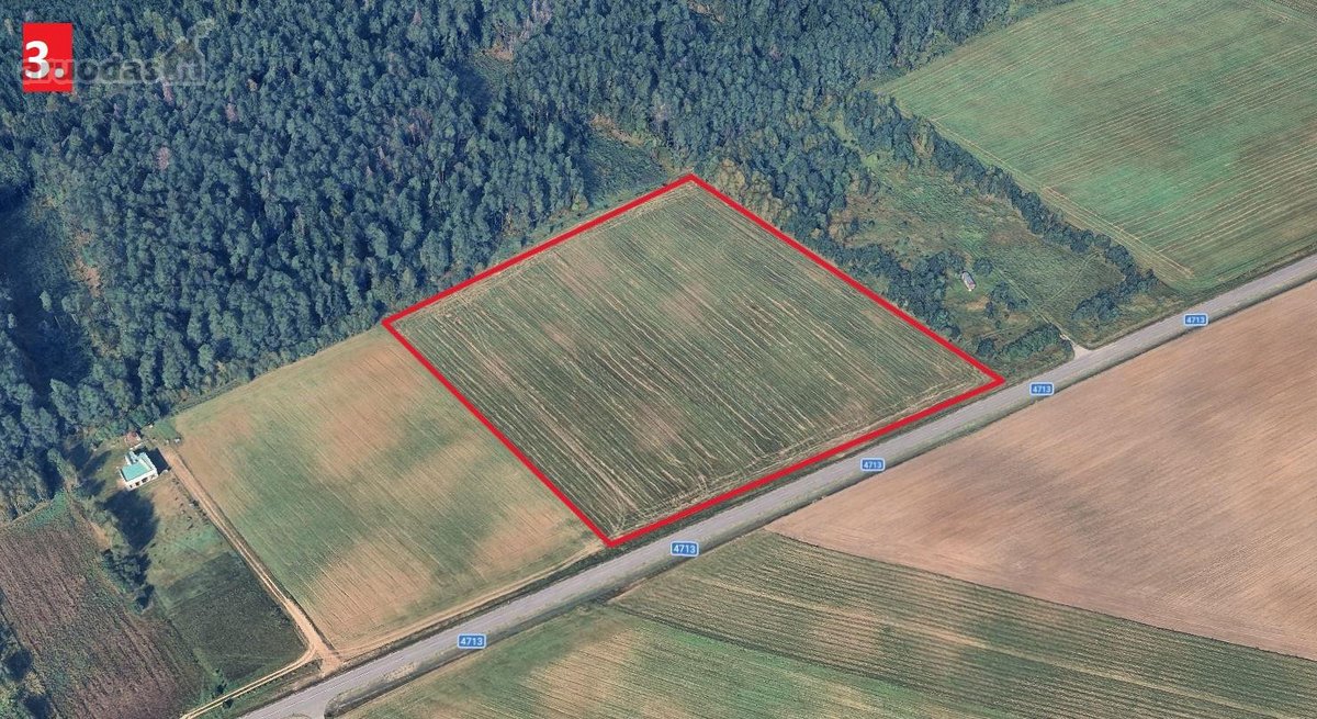 Parduodami trys žemės ūkio paskirties sklypai - nuotraukos Nr. 11