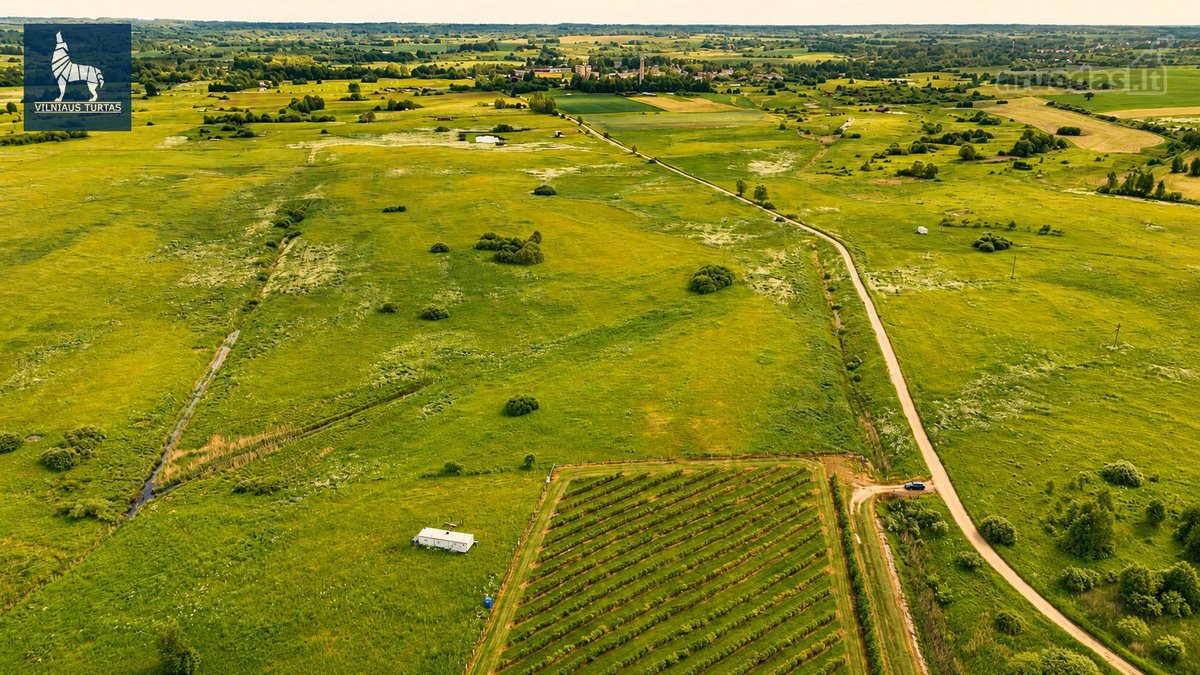 Parduodamas 1,1789 Ha Žemės Ūkio Paskirties - nuotraukos Nr. 5