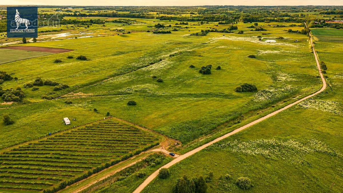 Parduodamas 1,1789 Ha Žemės Ūkio Paskirties - nuotraukos Nr. 6