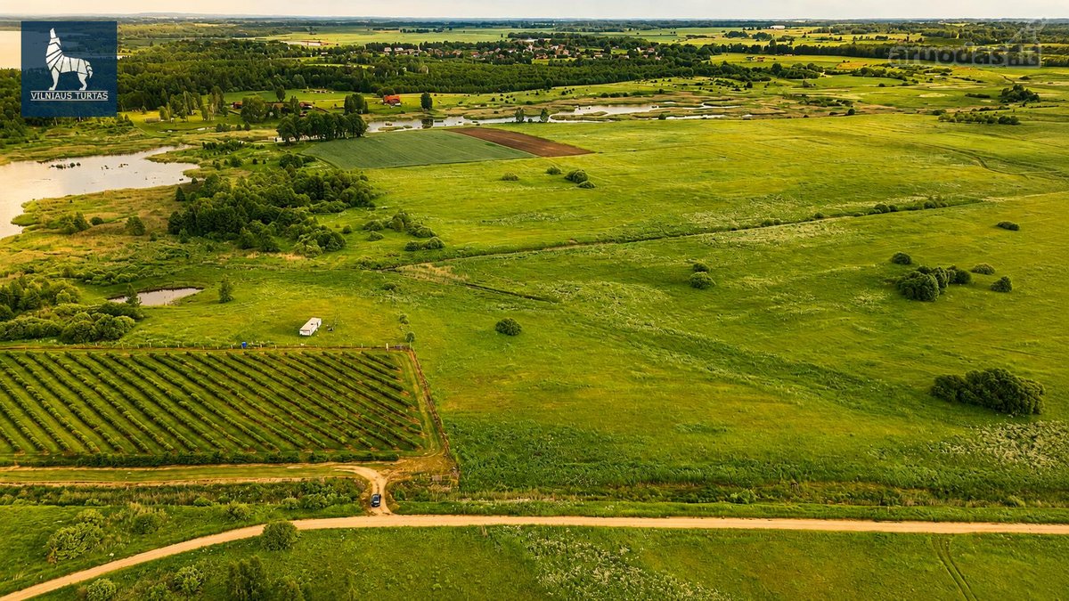 Parduodamas 1,1789 Ha Žemės Ūkio Paskirties - nuotraukos Nr. 7