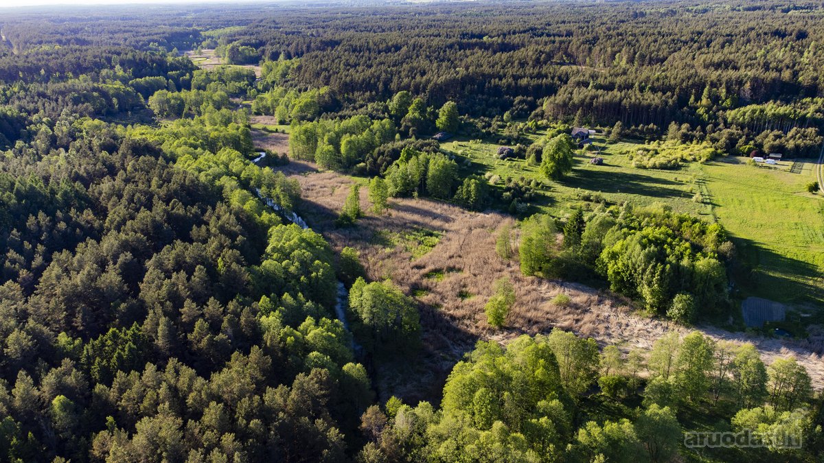 Parduodami Sklypai Viename Mažiausiai Žmogaus
