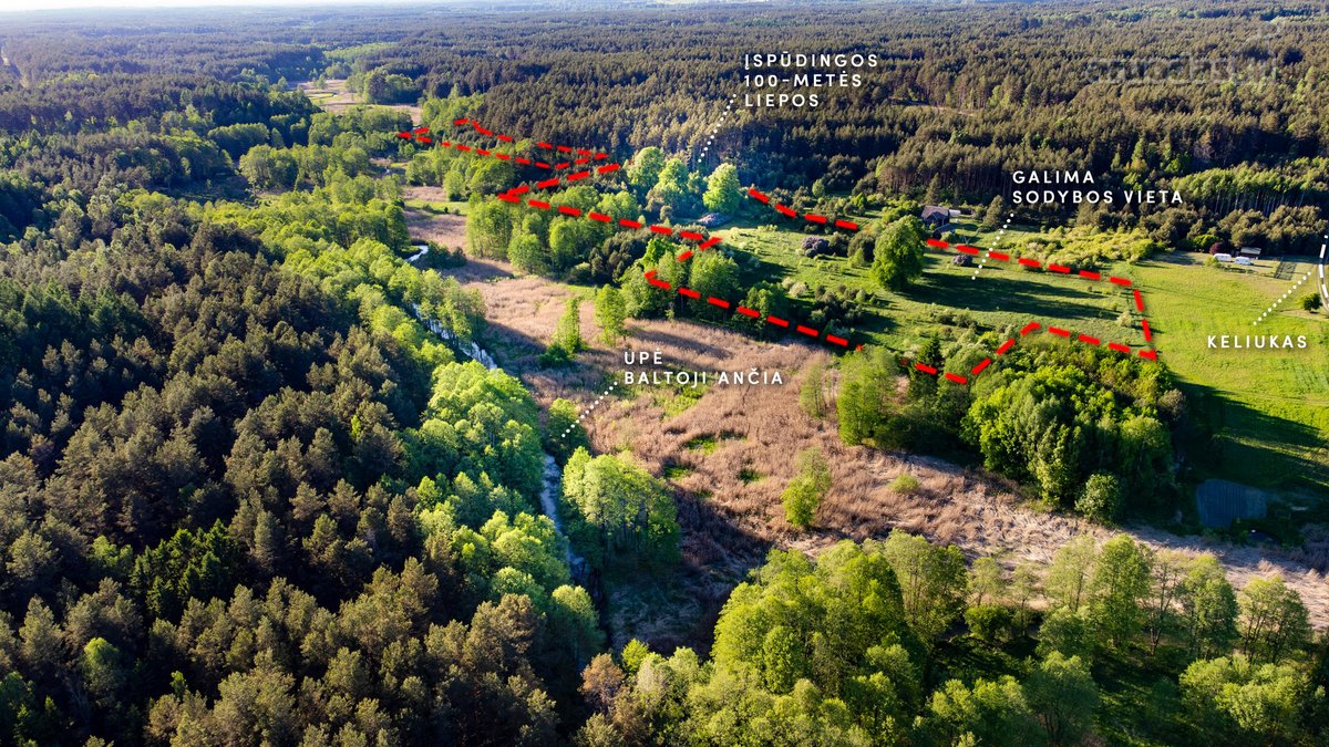 Parduodami Sklypai Viename Mažiausiai Žmogaus - nuotraukos Nr. 2