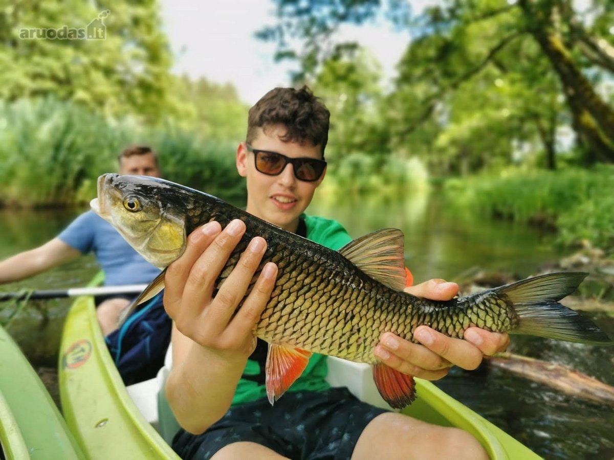 Parduodami Sklypai Viename Mažiausiai Žmogaus - nuotraukos Nr. 9
