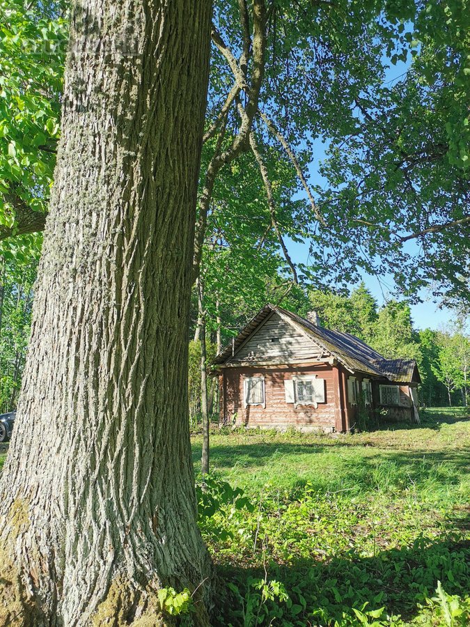 Parduodamas Jaukus Gamtos Kampelis Širvintų