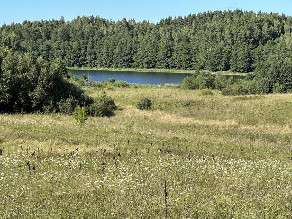 Parduodamas šalia Varnyno ežero esantis 3,2 - nuotraukos Nr. 6