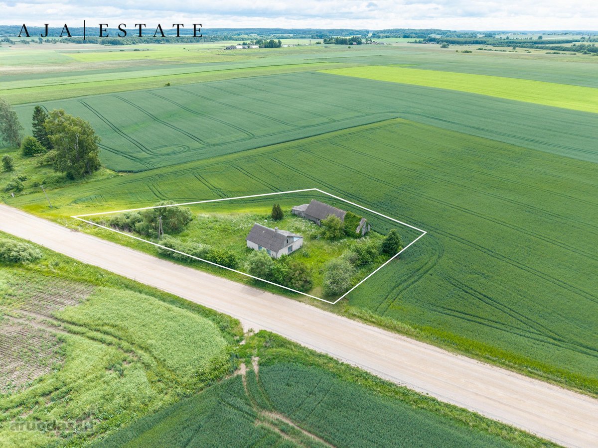 Tarp plačių Radviliškio krašto laukų, ten,