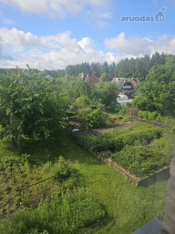 Ramybės oazė vos keliolika kilometrų nuo - nuotraukos Nr. 17