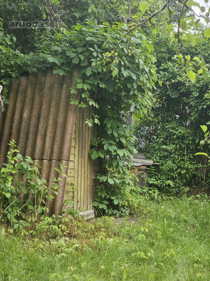 Ramybės oazė vos keliolika kilometrų nuo - nuotraukos Nr. 19
