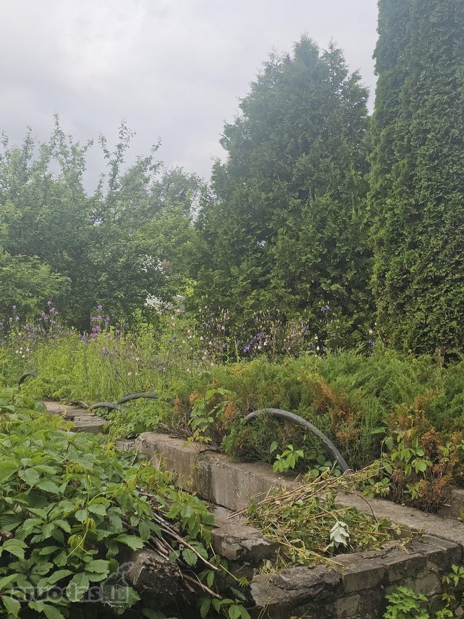 Ramybės oazė vos keliolika kilometrų nuo - nuotraukos Nr. 22