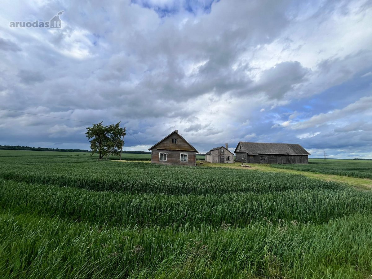 Parduodama Sodyba Su 40 Arų Sklypu Kėdainių - nuotraukos Nr. 13