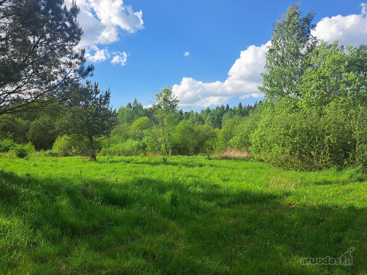 Parduodamas žemės ūkio paskirties sklypas - nuotraukos Nr. 3