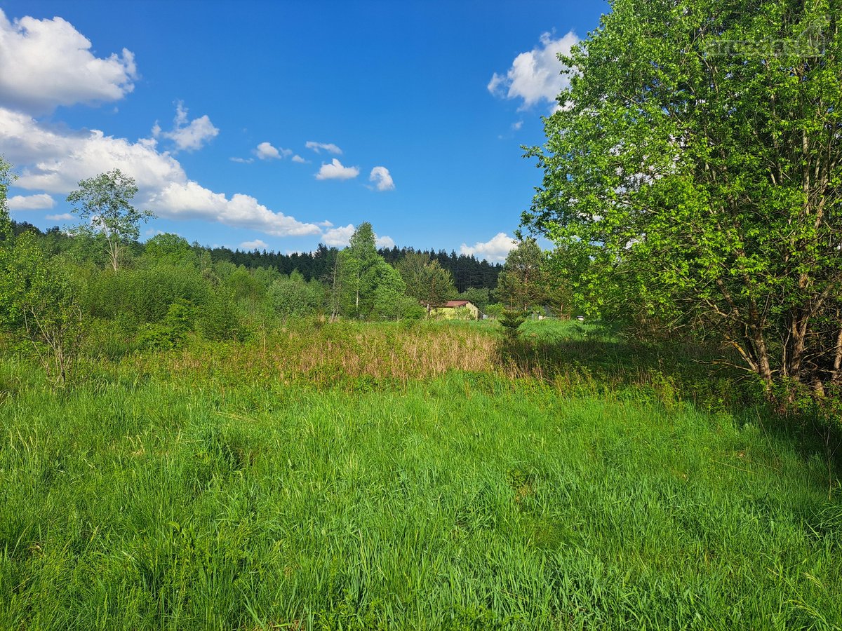 Parduodamas žemės ūkio paskirties sklypas - nuotraukos Nr. 4