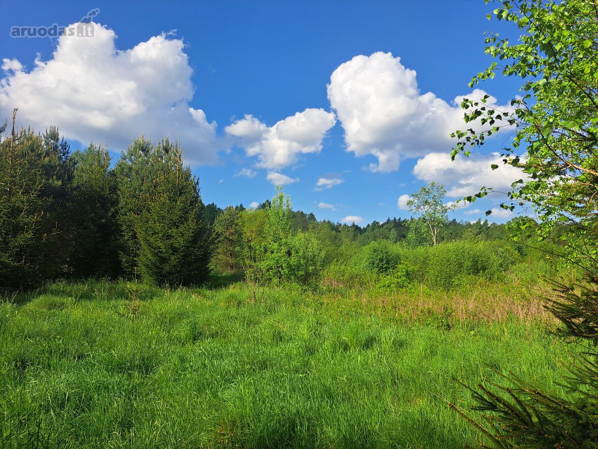 Parduodamas žemės ūkio paskirties sklypas - nuotraukos Nr. 5