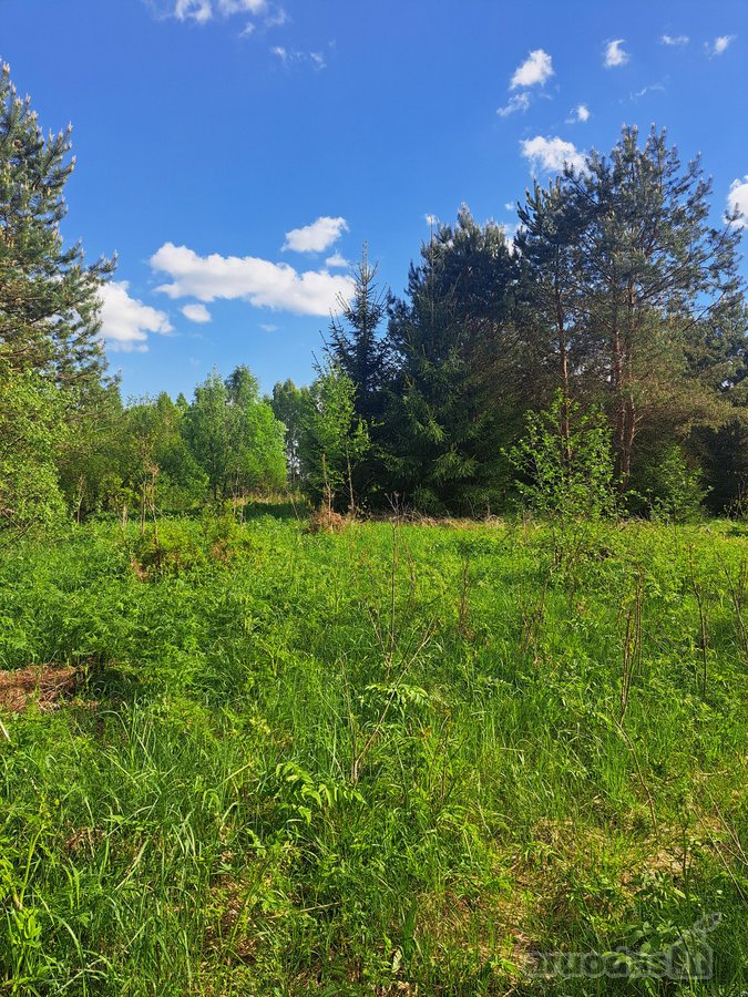 Parduodamas žemės ūkio paskirties sklypas - nuotraukos Nr. 8