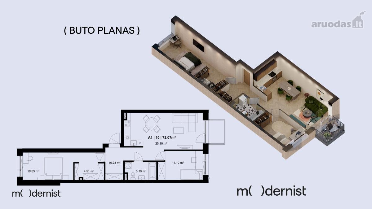 Modernist ( Užpildyk Erdvę Gyvenimu ) - nuotraukos Nr. 6