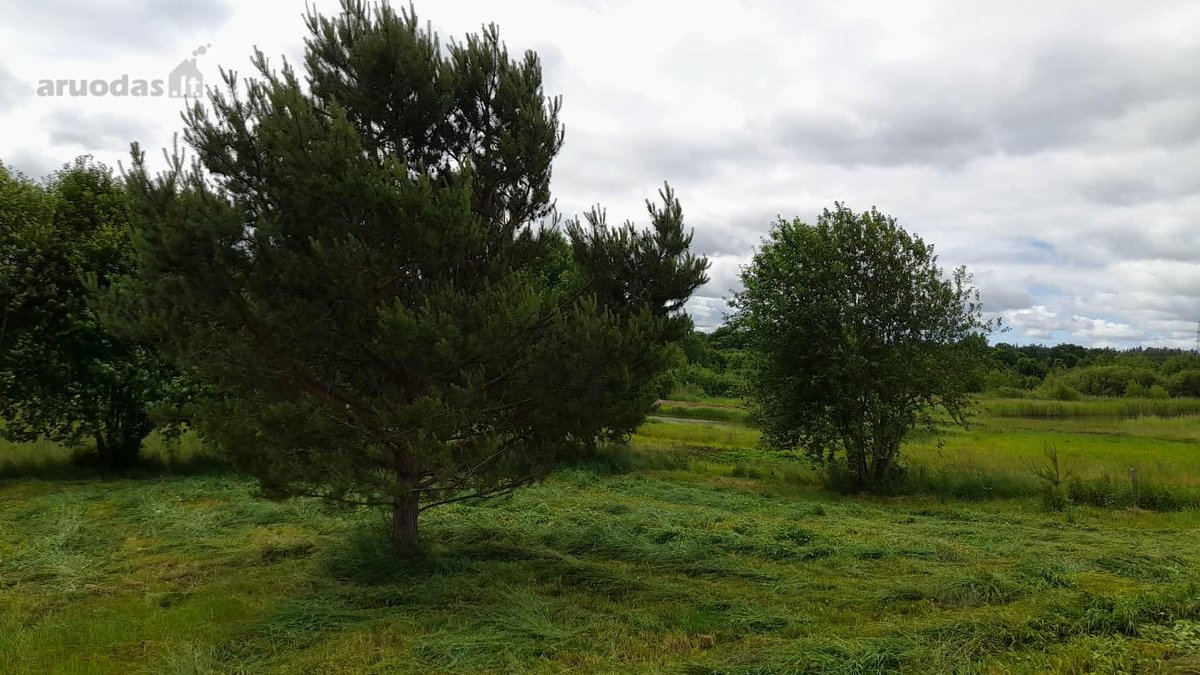 Parduodamas Dovilų miestelyje 19 arų namų - nuotraukos Nr. 7